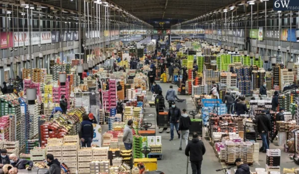 Wholesale Markets